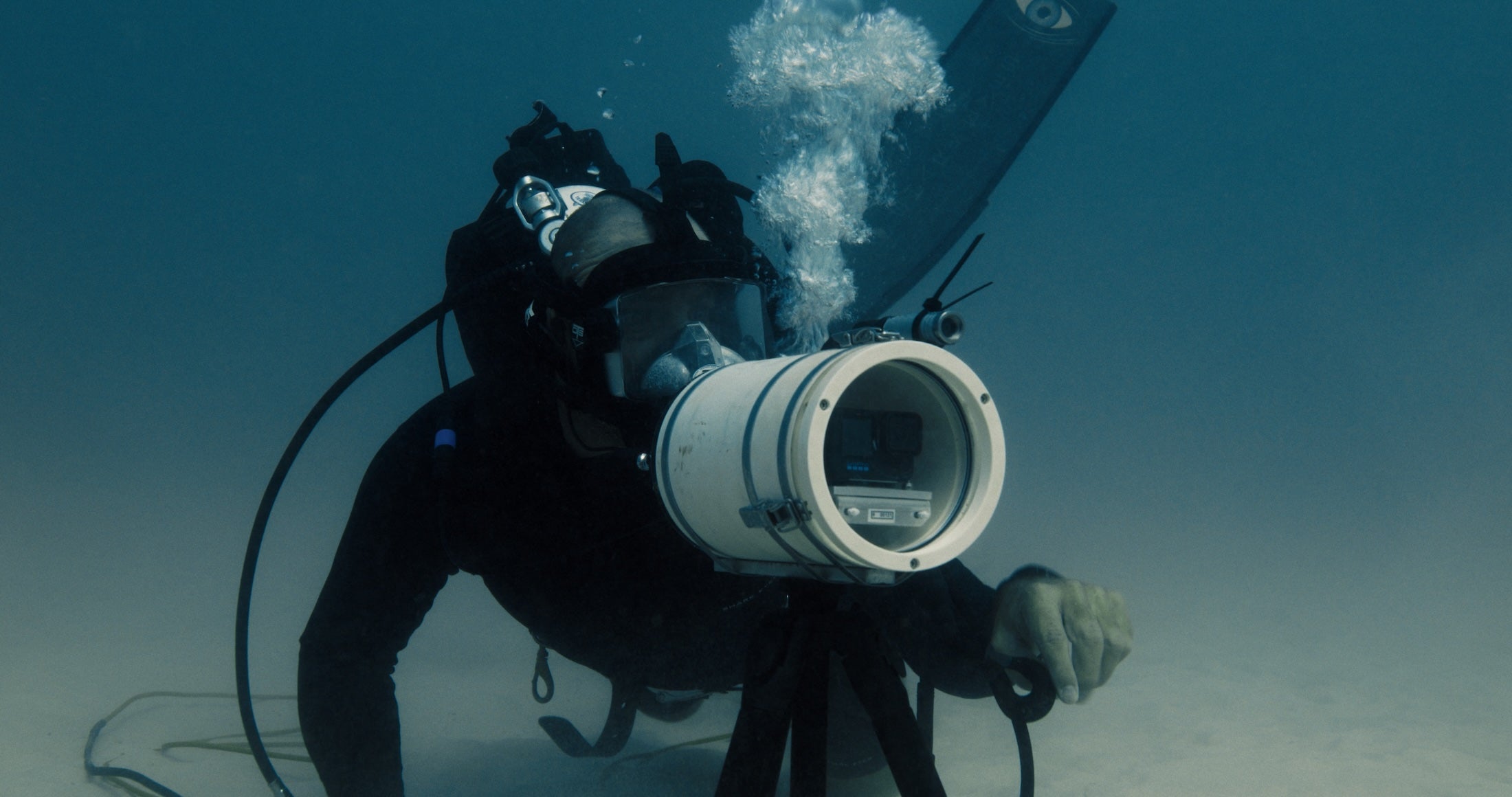 Shark Eyes on ABC Radio South West: Shanan Worall Explains the Science Behind Visual Shark Deterrents