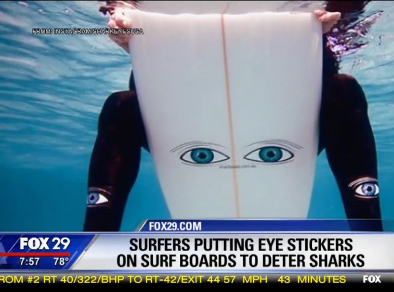 Surfers using 'big eye' stickers on boards to prevent shark attacks