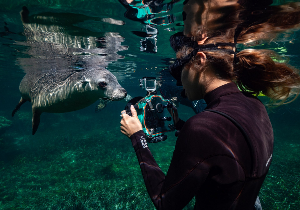 Untitled_1000_x_800_px_14-Shark Eyes Global