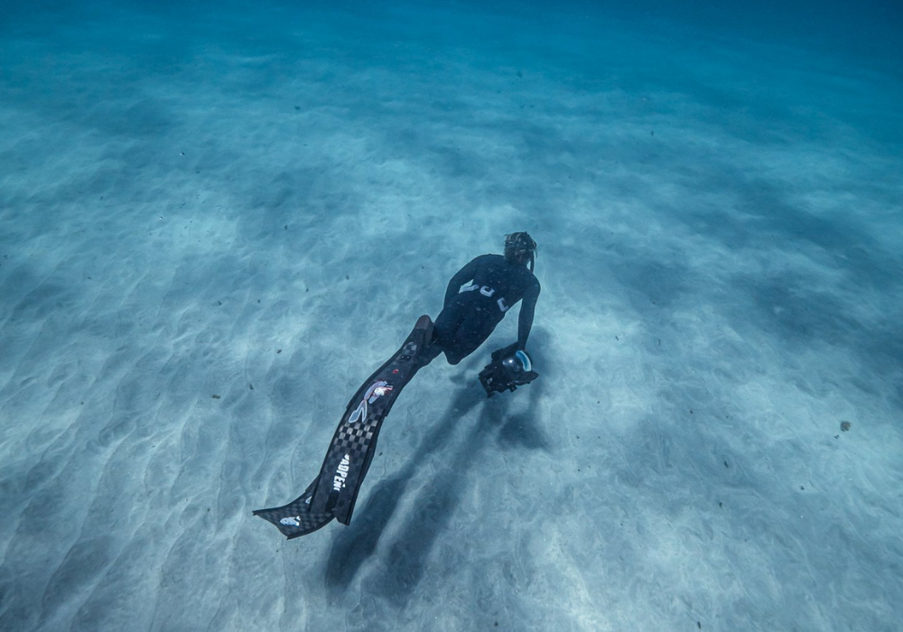 Untitled_1000_x_800_px_23-Shark Eyes Global