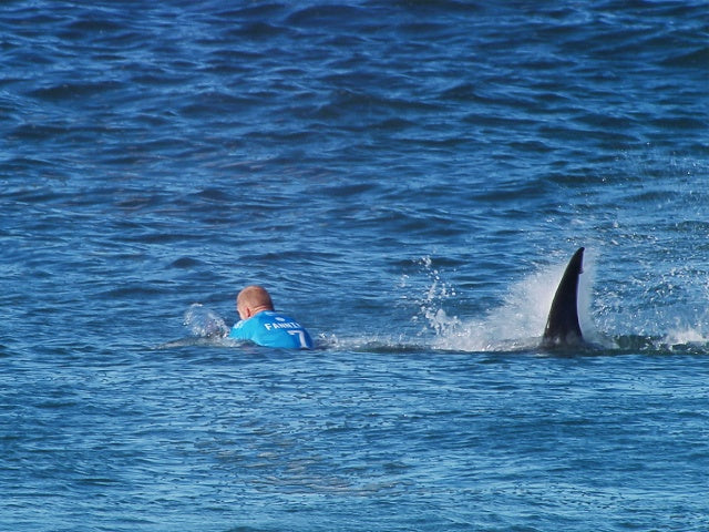 Surfers Reckon This Simple Trick Could Scare Off Sharks