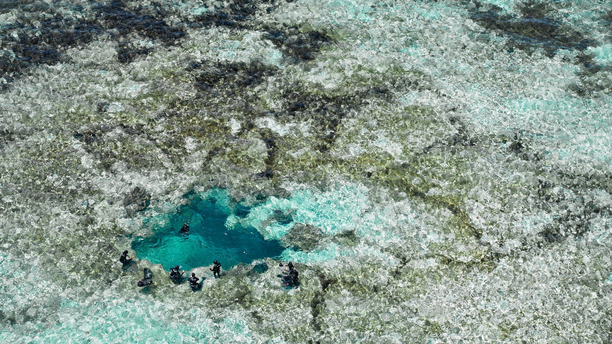 Abrolhos Islands Western Australia, site of the Shark Eyes shark deterrent pilot studies