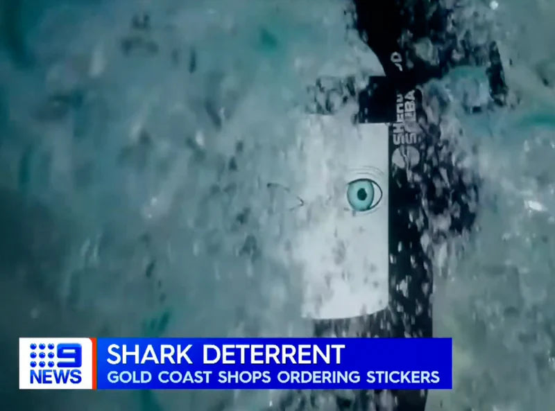 Shanan Worall chats to Channel 9 Gold Coast about Shark Eyes