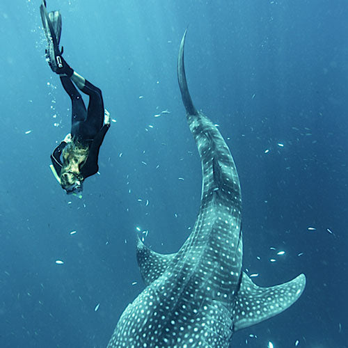 Cristiana Damiano, Oceanographer and marine scientist