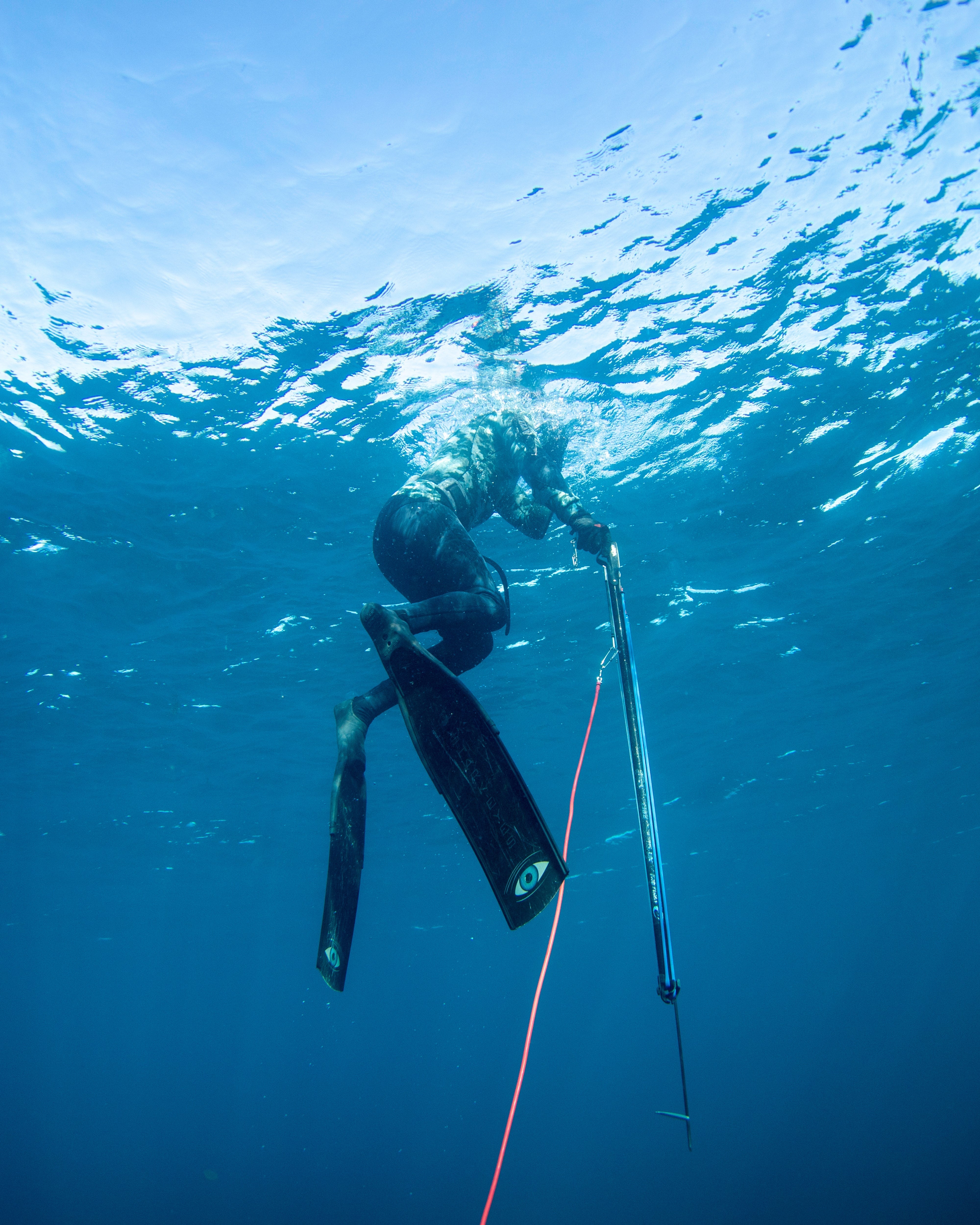 Spearfishing