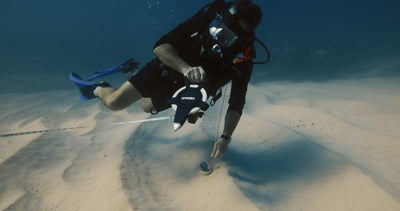 Steve Wall, image 6