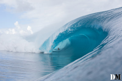Shane Ackerman, image 3