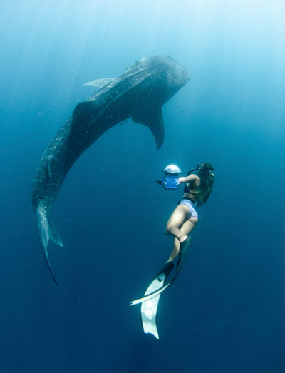 Ocean Aimee, image 4