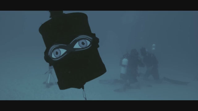 Load video: Shark Eyes Shark Deterrents