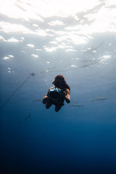Ocean Aimee, image 3