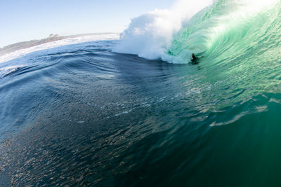 Shane Ackerman, image 6